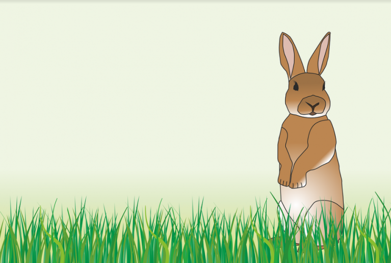 Artificial Turf for Pets