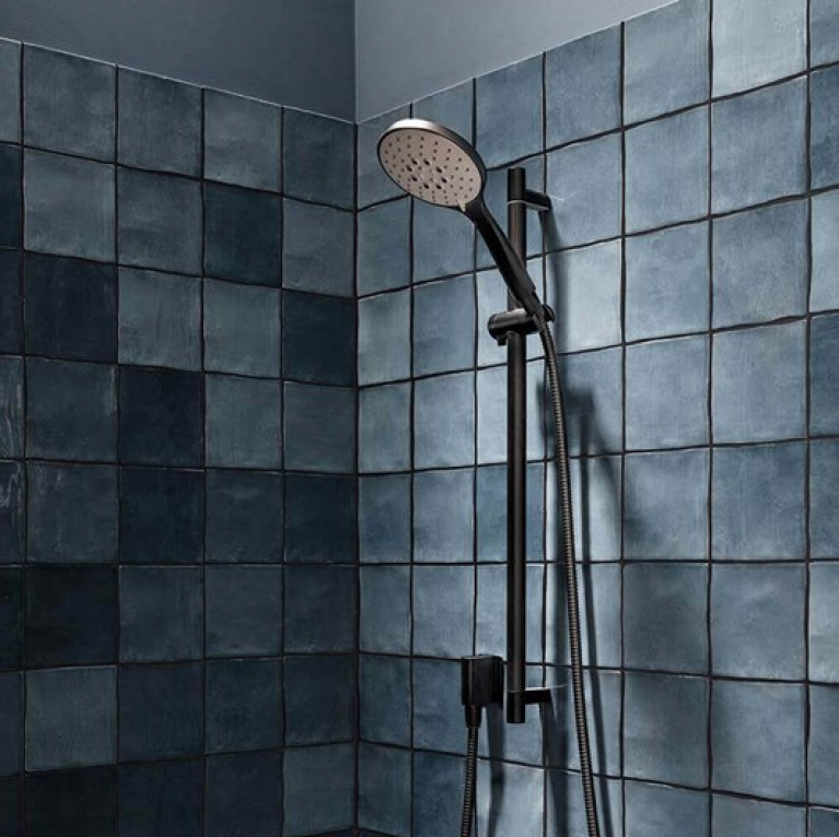 Choosing a Black Rail Shower