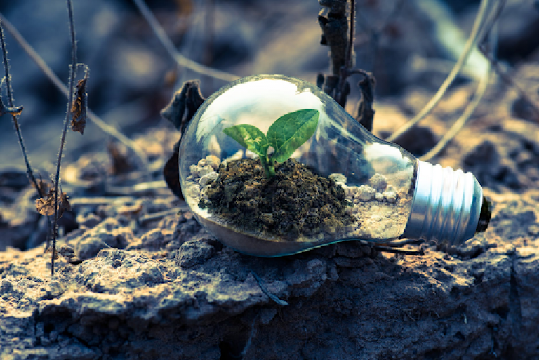 developing a business considering environmental awareness