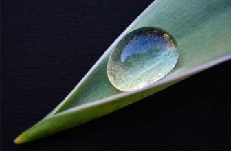 30 Beautiful Raindrops Photography