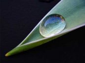 30 Beautiful Raindrops Photography