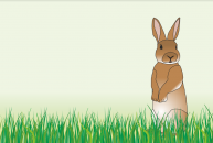 Everything You Should Know About Artificial Turf for Pets