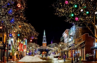 Key Considerations While Buying Outdoor Christmas Decorations