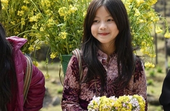 6 Common Mistakes with Indoor Plant Care and How to Avoid Them